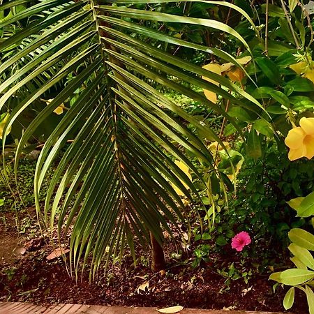 Stan-Inn, North Goa, Vagator, With Strong Wifi,Free Private Parking & Kitchen, Can Cook Where You Stay Exteriör bild