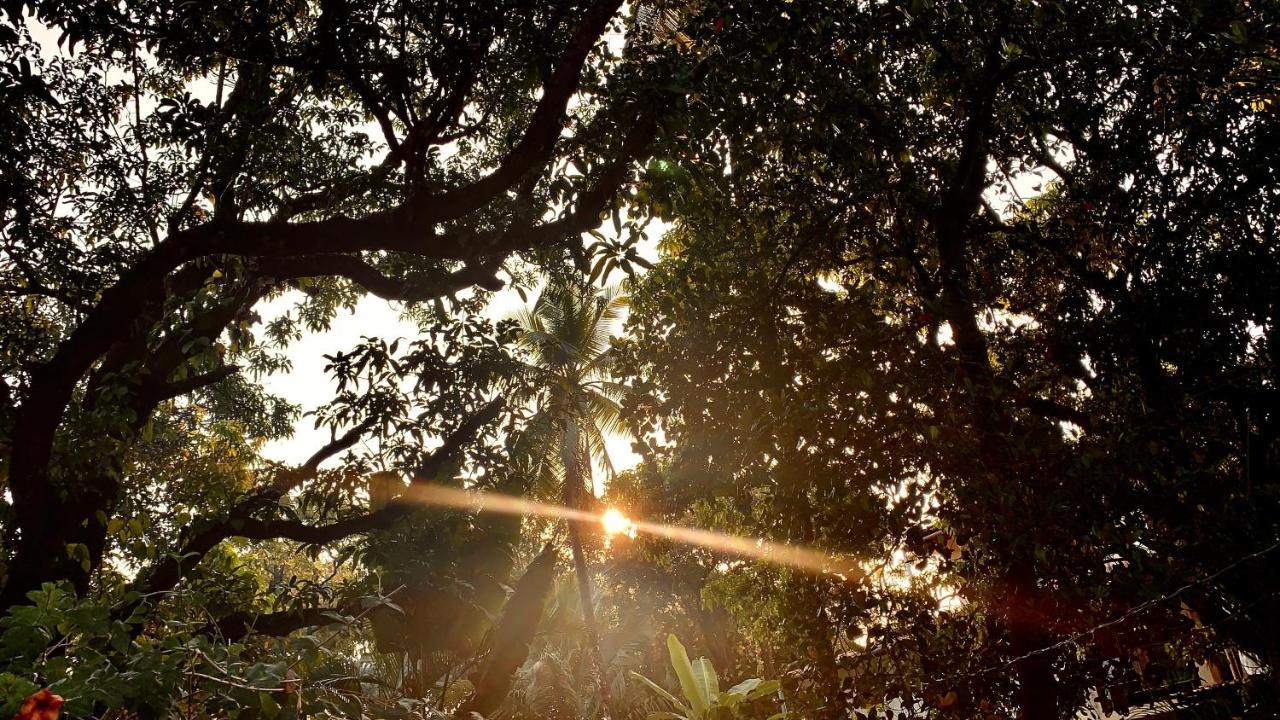 Stan-Inn, North Goa, Vagator, With Strong Wifi,Free Private Parking & Kitchen, Can Cook Where You Stay Exteriör bild