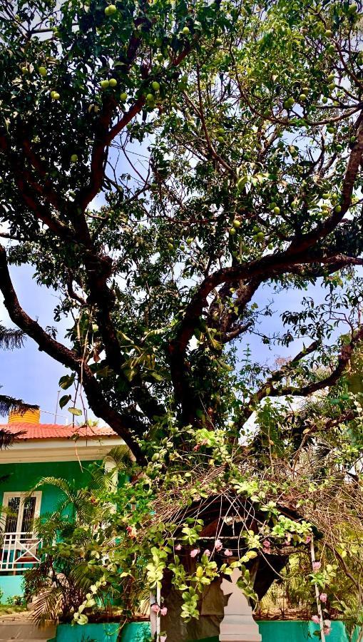 Stan-Inn, North Goa, Vagator, With Strong Wifi,Free Private Parking & Kitchen, Can Cook Where You Stay Exteriör bild