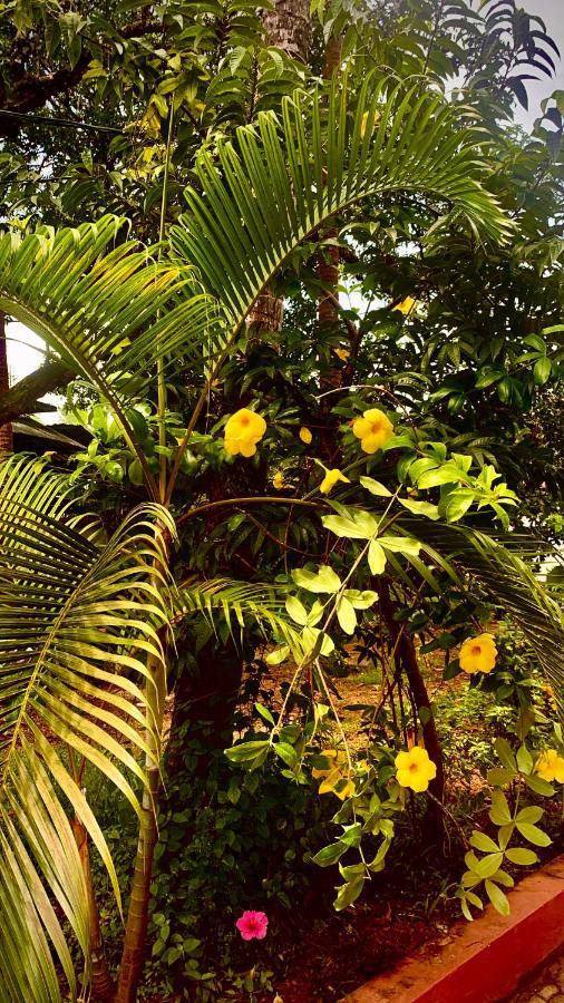 Stan-Inn, North Goa, Vagator, With Strong Wifi,Free Private Parking & Kitchen, Can Cook Where You Stay Exteriör bild